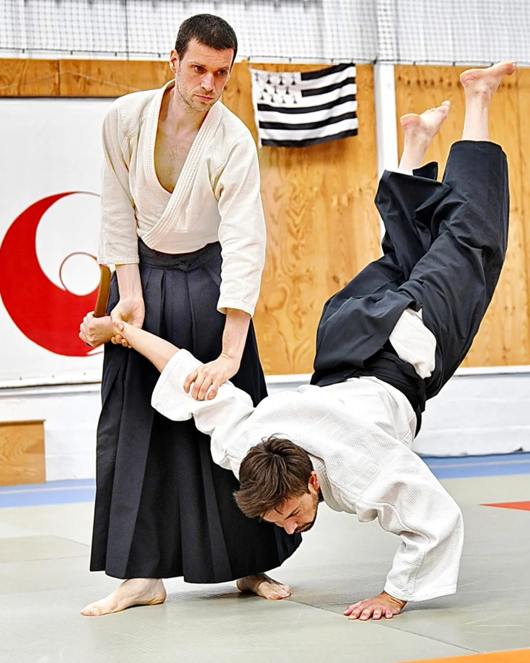 Deux pratiquants explorent ensemble les principes de l'aïkido traditionnel dans une pratique dynamique et harmonieuse.