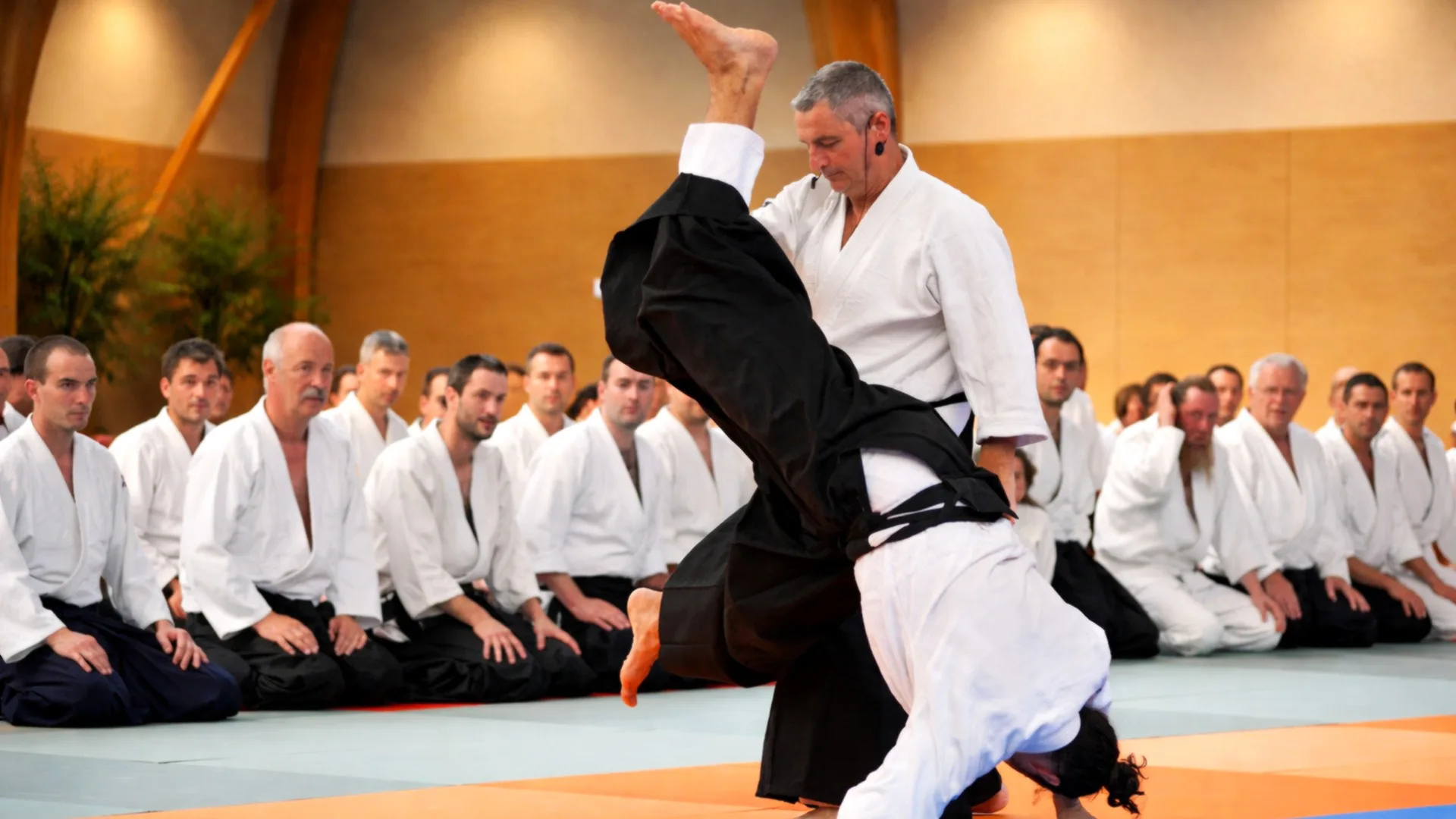 Stage d'Alain Peyrache, démonstration des principes dans la fluidité et la maîtrise adaptée.